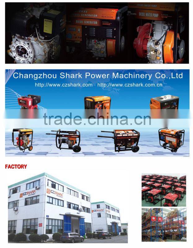 Diesel Generator Set (digital type)