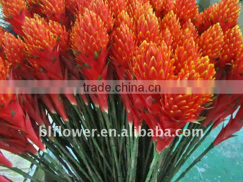 artificial plant high end tropical presentation