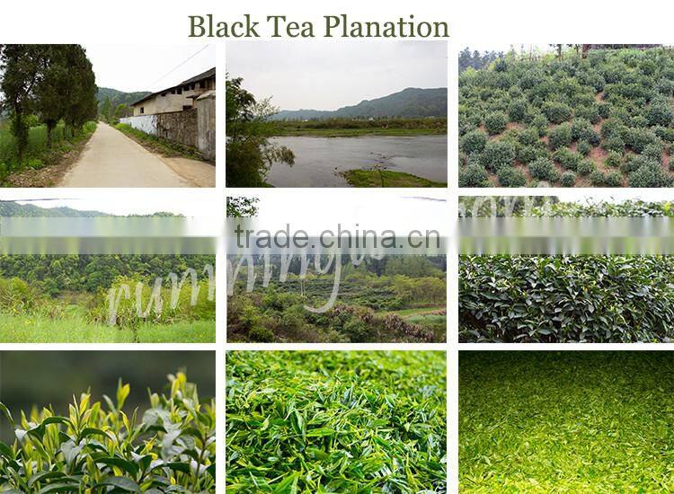 Black Tea Organic Certified Taiwan Gaba Black Tea
