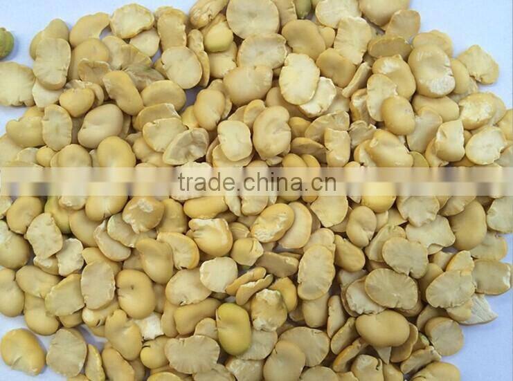 2014 crop Dried Broad Beans Split, peeled without shell