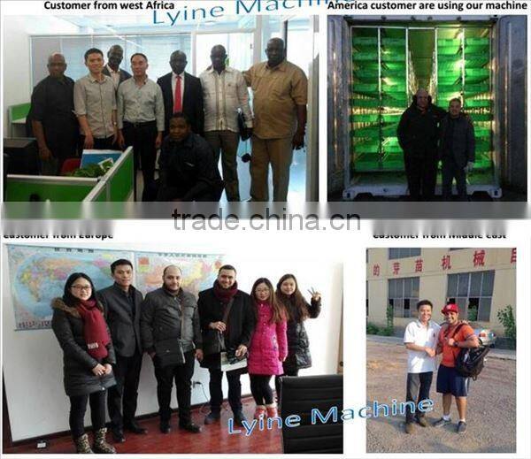 hydroponic green barley,wheat,alfalfa seedlings feed sprouting trays for animal,cattle,sheep,goats