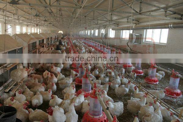 chicken breeding equipment