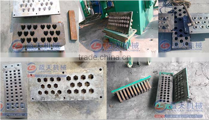China Professional Sawdust Press Machine Sawdust Charcoal Briquette Making Machine