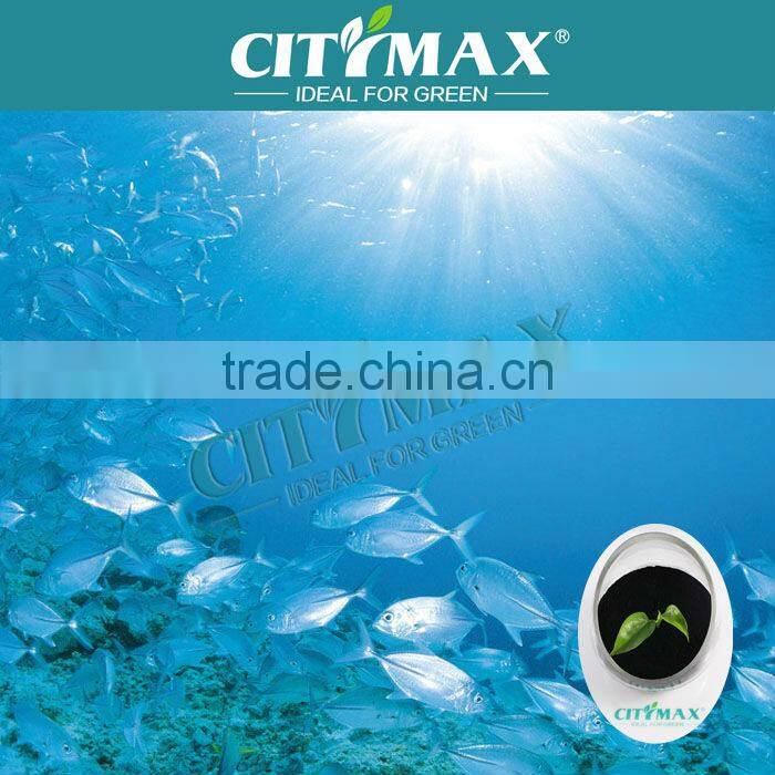 Seaweed Extract Bio fertilizer Plant