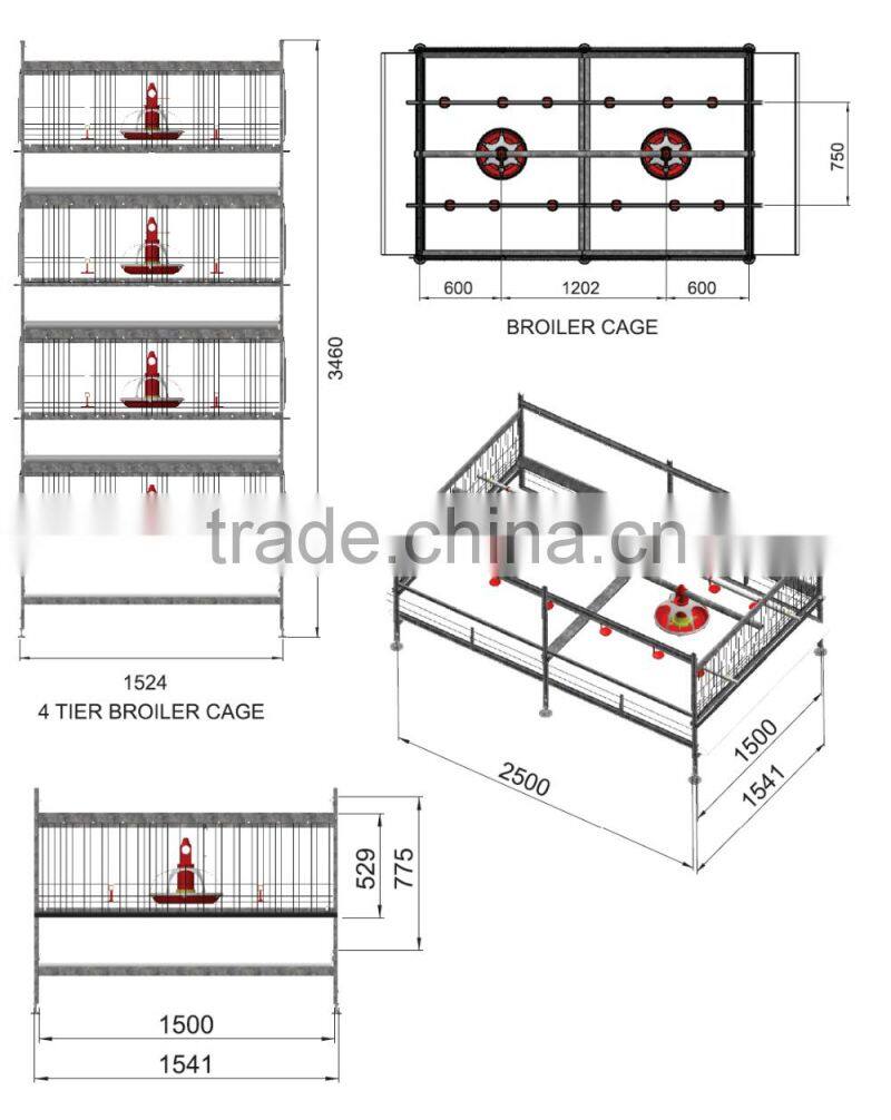Most Trending Broiler Chicken Battery Cages at Affordable Price