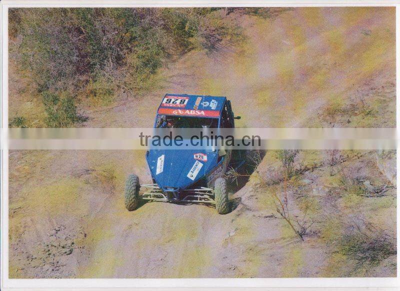 1100cc Dune Buggy (4x4)