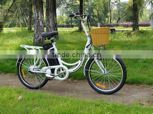 250W Cheap Steel Frame Electric Bike with EN15194 and EN14764 (EL09)