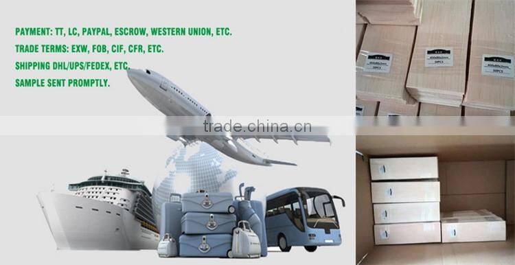 balsa wood planes kit