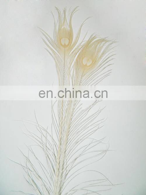 hot selling white natural 80cm-90cm peacock feather