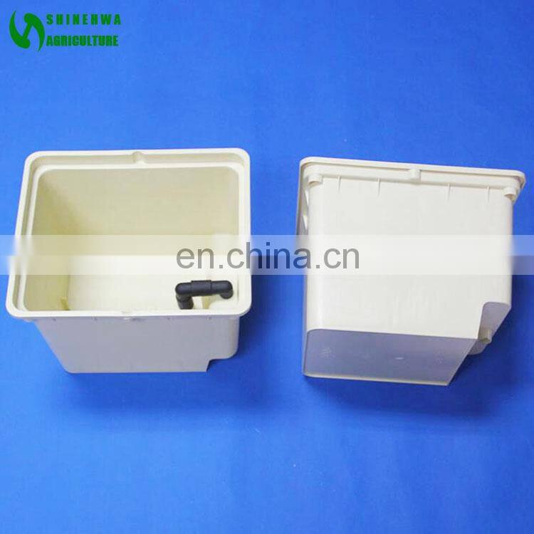 Hydroponics Grow Tent Used Dutch Bucket Sale