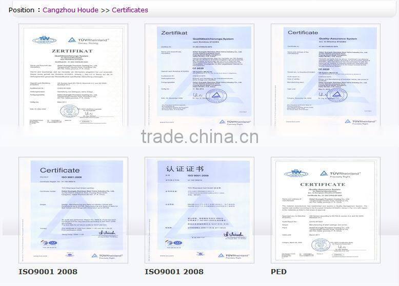 China supplier Thread End Y-Strainer