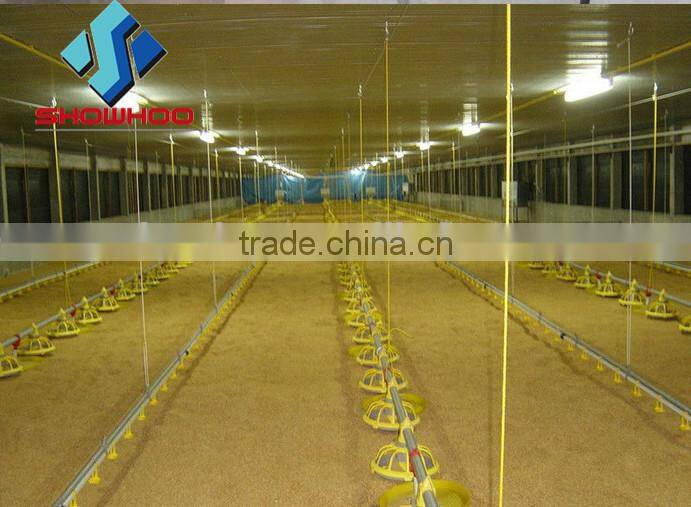 cheap chicken poultry shed