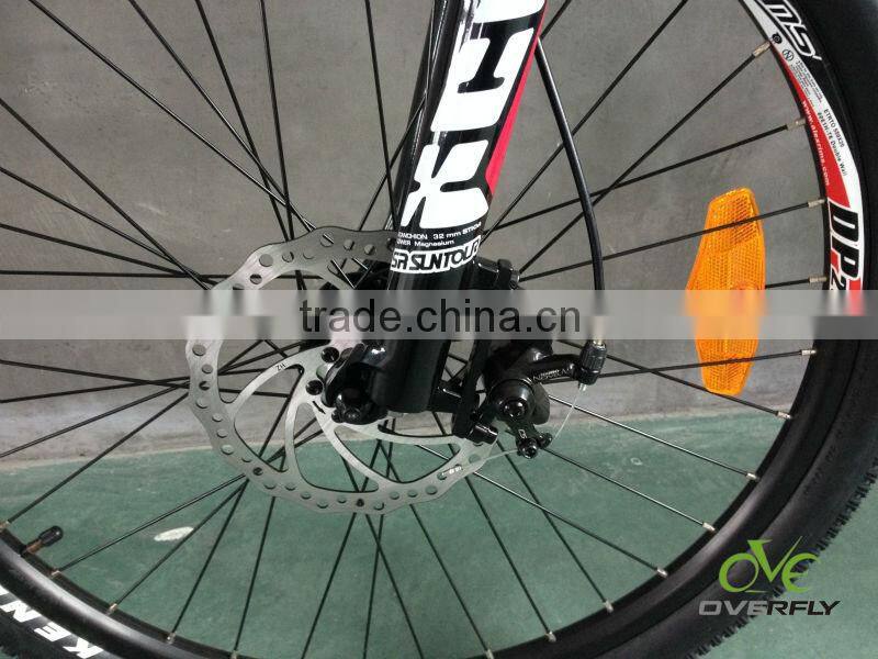 250 W rear brushless motor bike mountain electric bike XY-TDE05Z