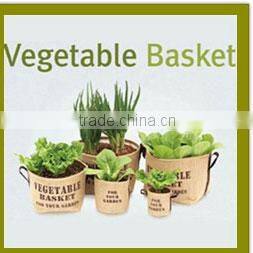 Specialized boxes for gifts DIY mini bonsai promotional gifts for teenagers , corporate anniversary gifts