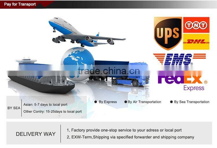 China PHONEX Fuel Efficient Gasoline Centrifugal Irrigation Water Pump Sale for Nigeria