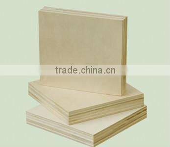 hot sale birch plywood from Linyi