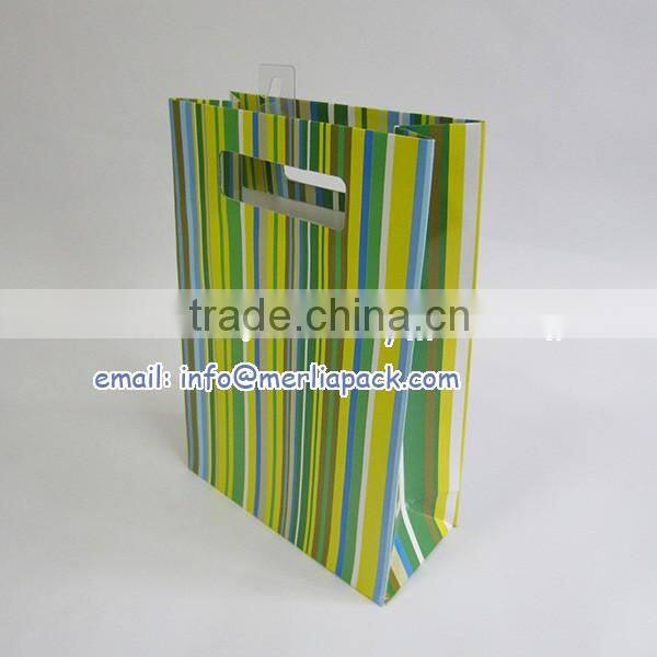 Luxury Paper Gift Bags Party Wedding Birthday with Euro Hook Slot Hang Tabs Bag