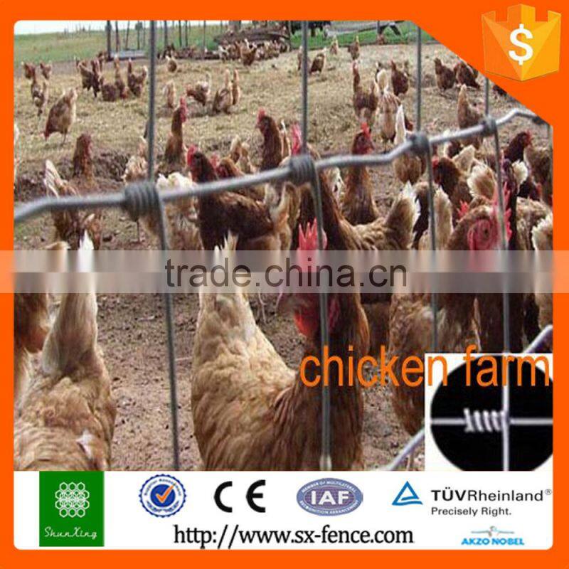 Woven Sheep wire fencing