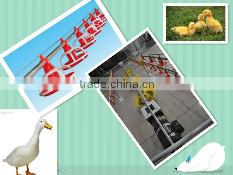 new type automatic poultry duck feeders