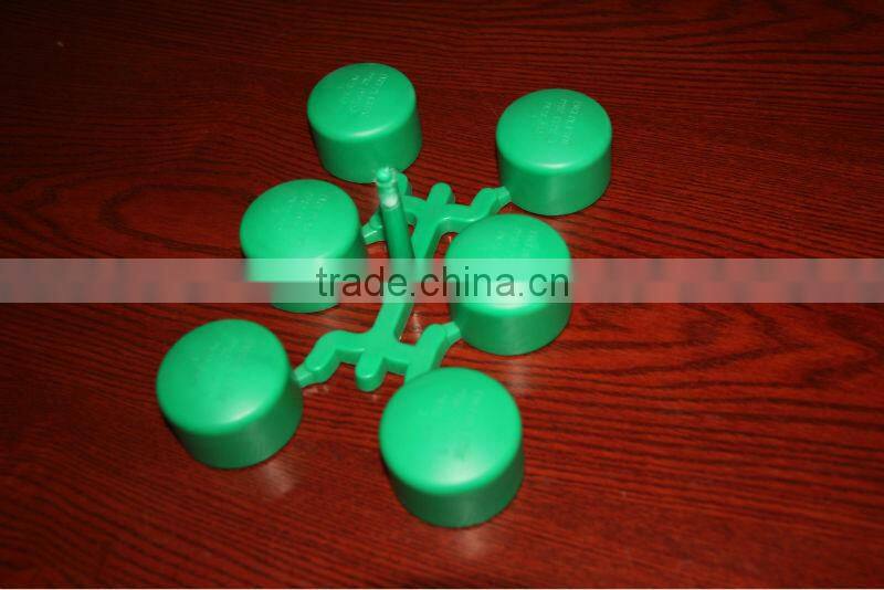 6 cavities PPR end cap fitting mould pipe fitting mould