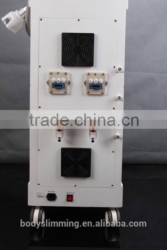 New coming Lipo Ice fat cryolypolysis machine 3d lipo salon