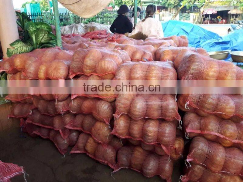 FRESH PUMPKIN +84963818434 whatsapp