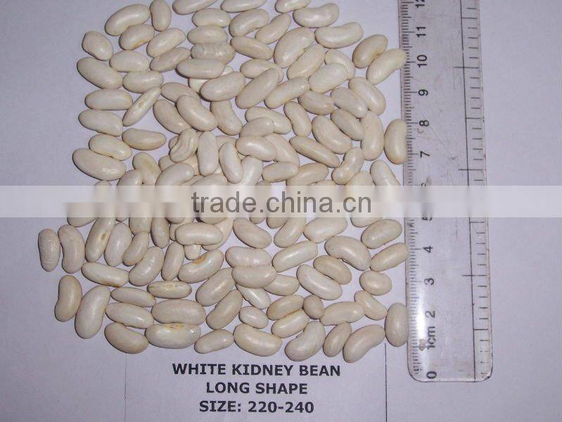 2014 Chinese white kidney bean with cheap price