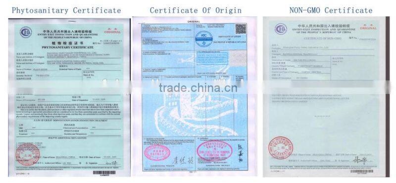 2015 good quality flower Chinese cabbage for growing