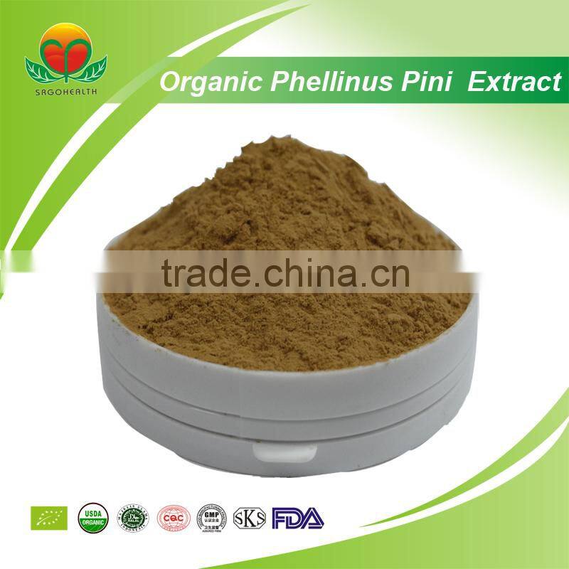 Manufacturer Supply Organic Phellinus Pini Extract