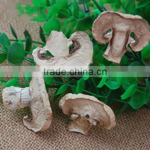 Alibaba buy now market prices for mushroom products made in asia