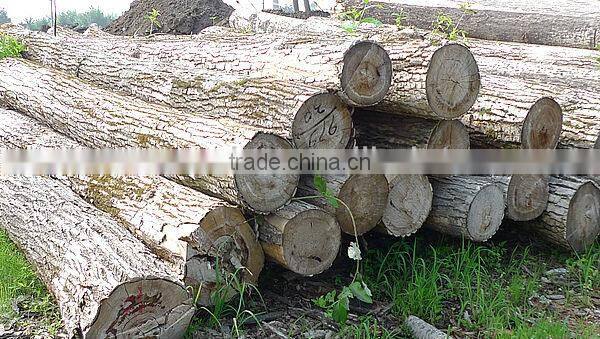 SHseries380 wood working machinery