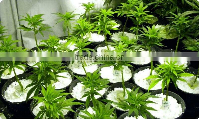 Agricultural / Horticultural Expanded Perlite / Insulation Perlite