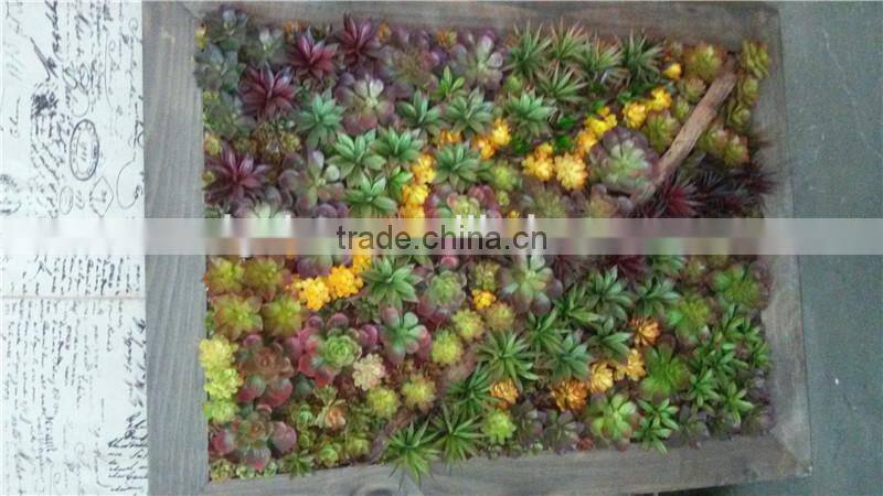 Home and outdoor decoration synthetic cheap artificial vertical green grass succulent wall E08 04C44