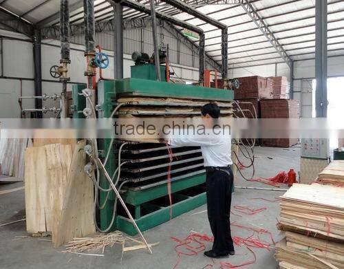 4*8ft plywood veneer hot press drying machine / woodworking machinery in Linyi