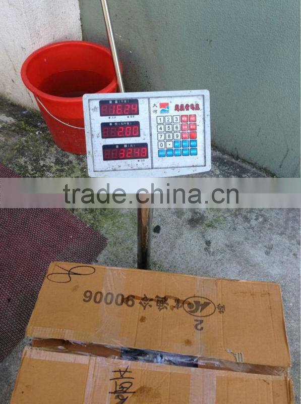 Seafrozen horse mackerel 20cm+