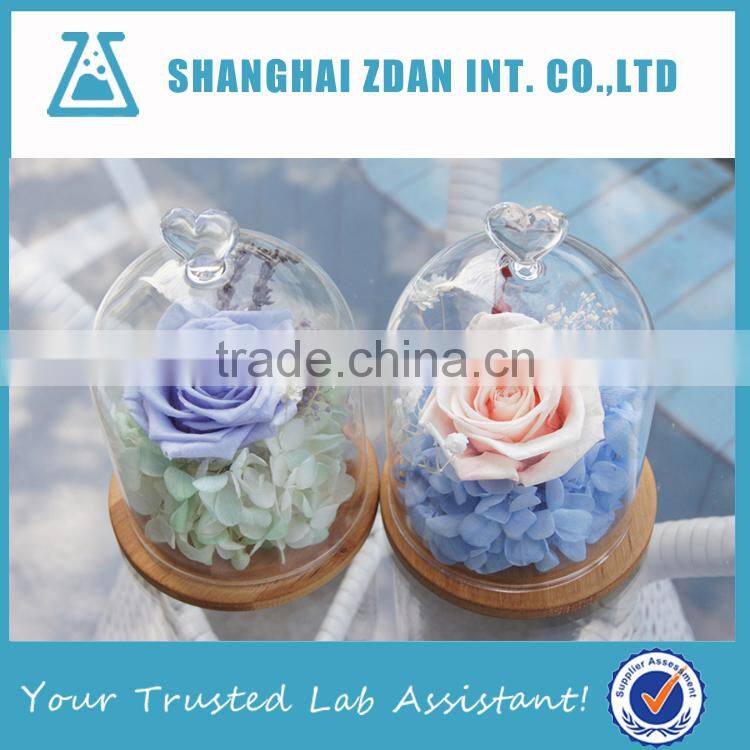 Glass Shade Preserved Flower Cover