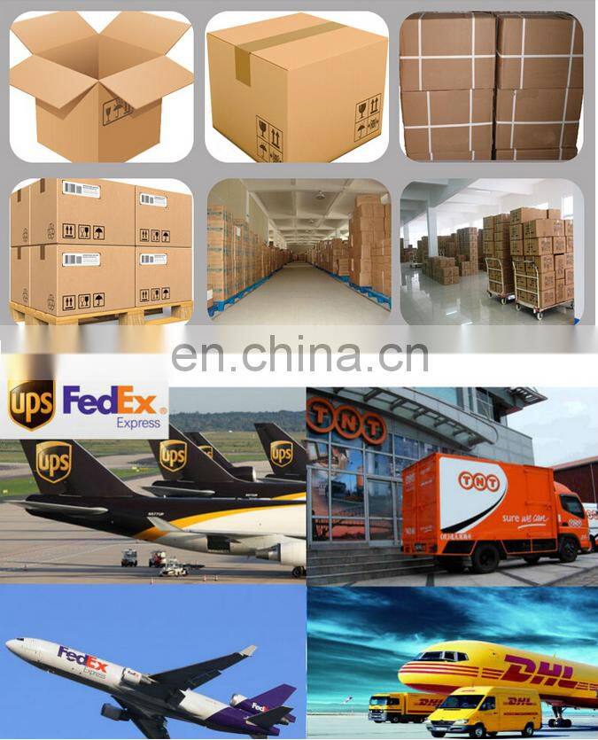 Black Oversized Nylon Zipper Winter Jacket