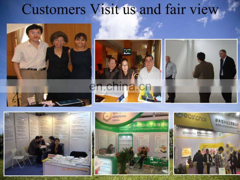 Detergent chemical Sodium Tripolyphosphate STPP food price