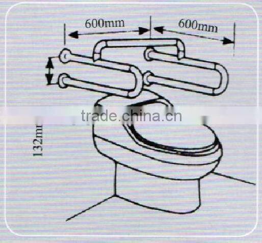 Elderly Disabled Toilet handicap handrails