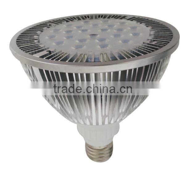 Newest 2 years warranty warm white PAR38 led spot light