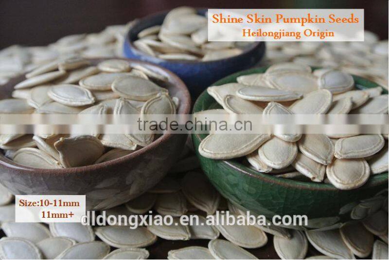 2015 New Crop Shine Skin Pumpkin Seeds price
