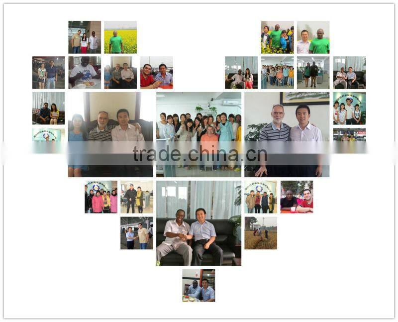 small waste paper recycling machinery egg box machine