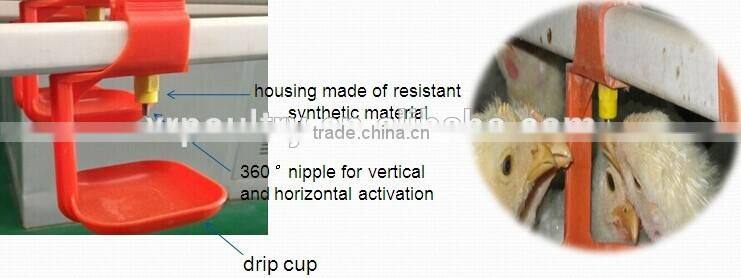 CHICKEN FARM BUILDING DESIGN