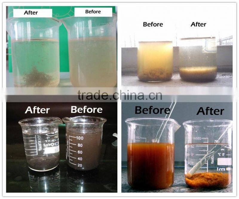 Xingyue Water Treatment APAM Anionic Polyacrylamide