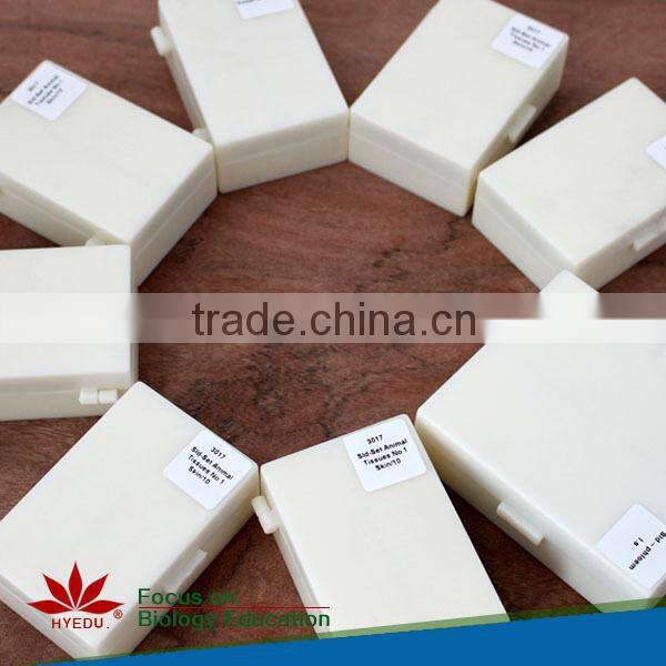 50pcs human and animal parasitology slides set