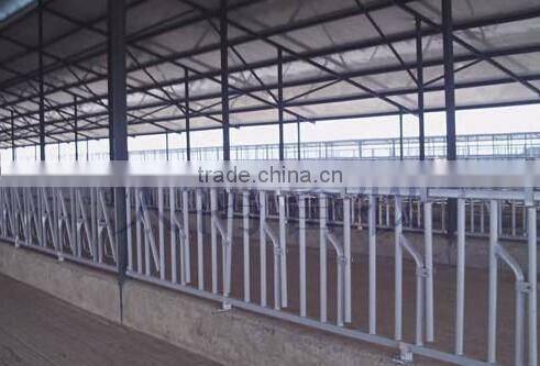 Farm Cow Shed Cow Head Lock hot dip galvanized