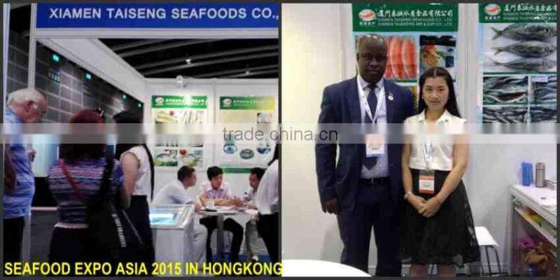 Frozen Indian Mackerel