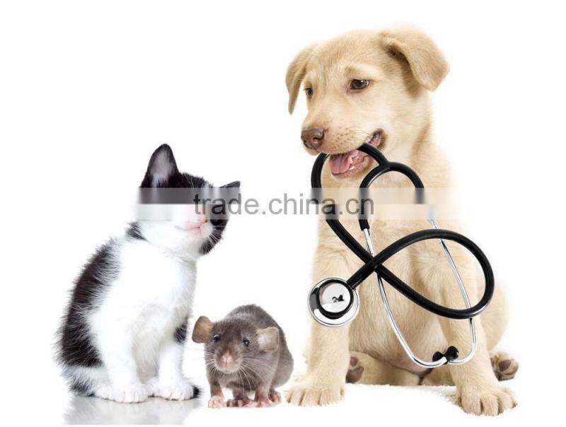 CE & ISO qpproved Laptop Ultrasound Scanner for vet use with low price