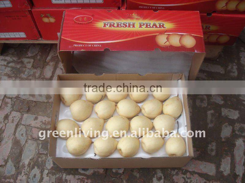 chinese best fresh ya pear (fruits)