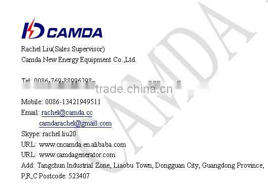 CE approved biogas generator/biogas power plant/biomass generator/chp